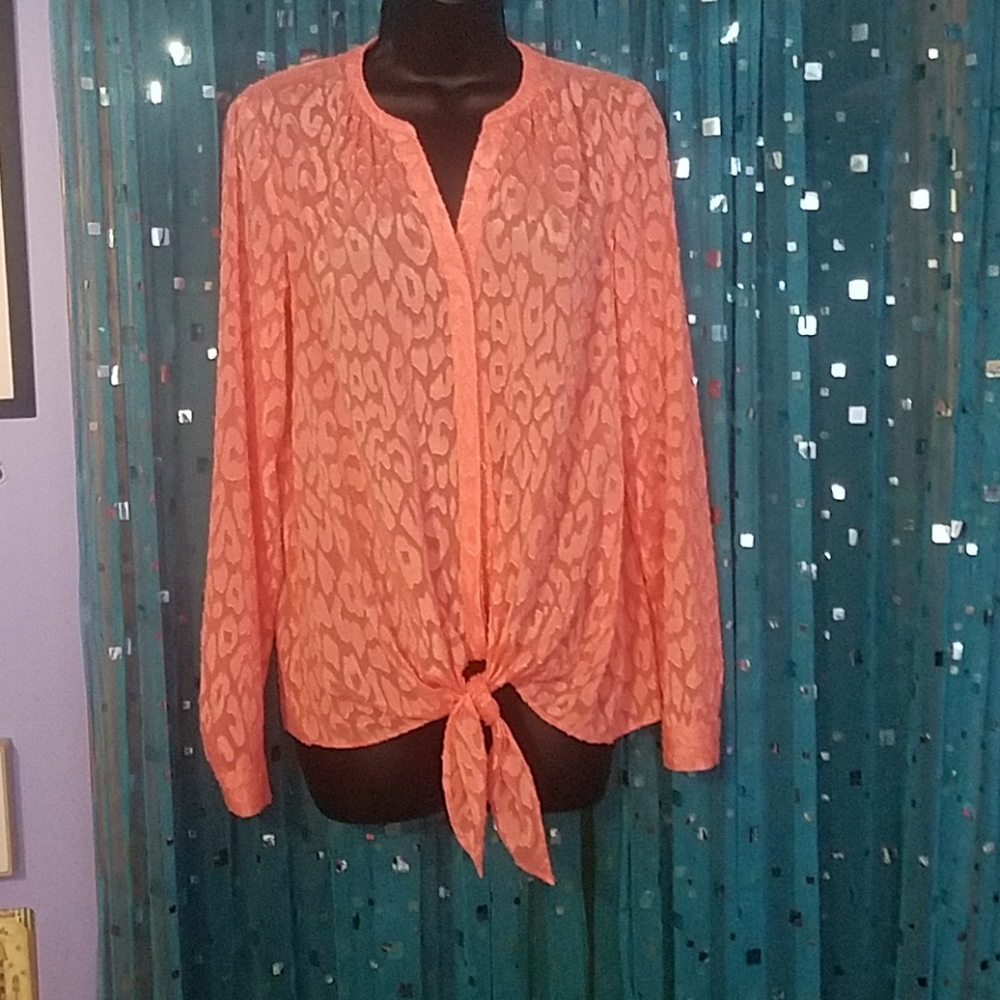 Dana Buchman transparent blouse